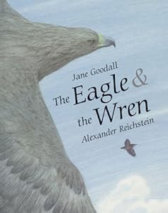 The Eagle &amp; the Wren