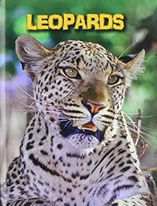 Leopards