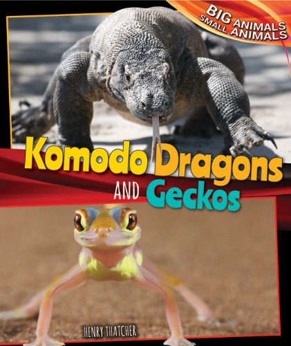 Komodo Dragons and Geckos by Henry Thatcher