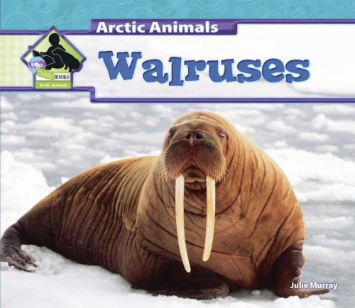 Walruses by Julie Murray