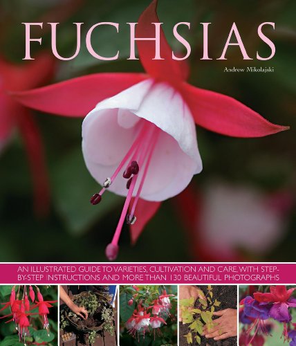 Fuchsias: An illustrated guide to varieties, cultivation and care, with step-by-step instructions and more than 130 beautiful photographs by Andrew Mikolajski