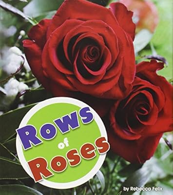 Rows of Roses