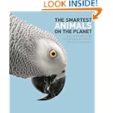 Smartest Animals on the Planet
