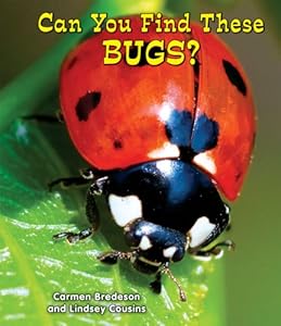 Can You Find These Bugs?