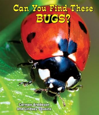 Can You Find These Bugs?