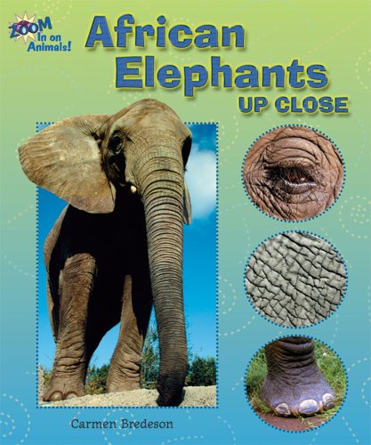 African Elephants Up Close (Zoom in on Animals!) by Carmen Bredeson