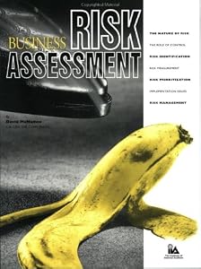 Business Risk Assessment by David McNamee