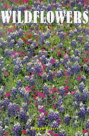 Wildflowers: A Portrait of the Natural World by Andrew Cleave