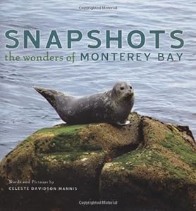 Snapshots: The Wonders of Monterey Bay