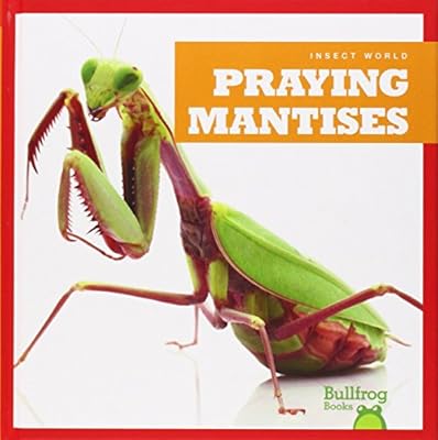 Praying Mantises