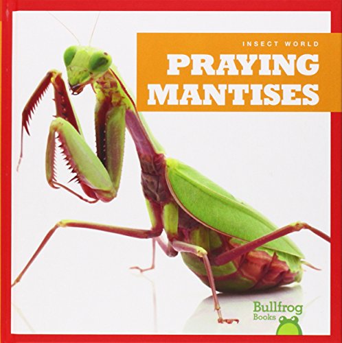 Praying Mantises by Mari Schuh