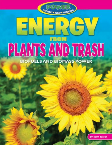 Energy from Plants and Trash: Biofuels and Biomass Power by Ruth Owen