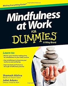 Mindfulness at Work For Dummies