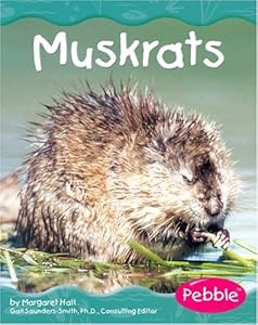 Muskrats (Wetland Animals)