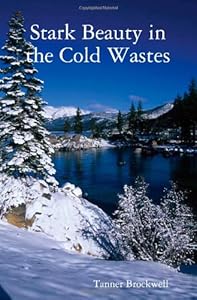 Stark Beauty in the Cold Wastes by Tanner Brockwell