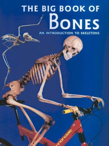 The Big Book of Bones by Claire Llewellyn