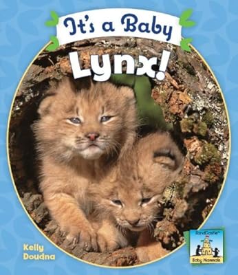 It's a Baby Lynx! (SandCastle: Baby Mammals)