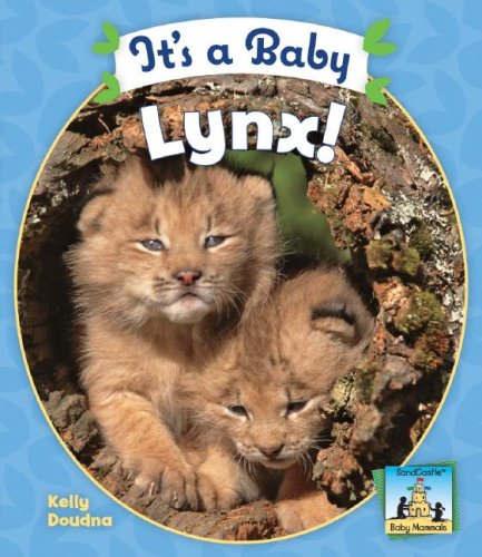 It's a Baby Lynx! (SandCastle: Baby Mammals) by Kelly Doudna