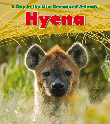 Hyena by Louise Spilsbury