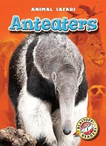 Anteaters by Megan Borgert-Spaniol