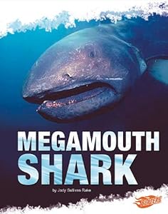 Megamouth Shark