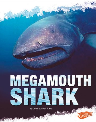 Megamouth Shark by Deborah Nuzzolo
