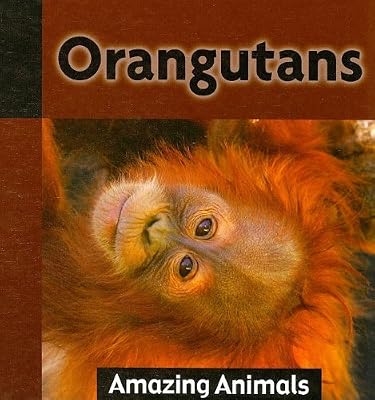 Orangutans (Amazing Animals)