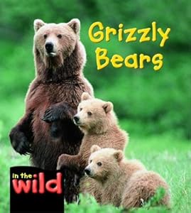 Grizzly Bears (In the Wild) by Patricia Kendell
