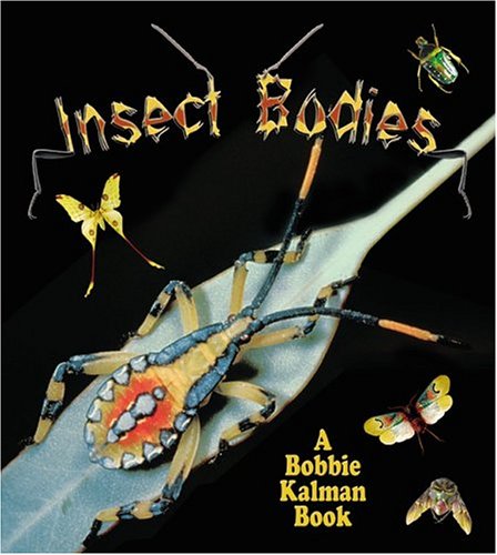 Insect Bodies by Molly Aloian