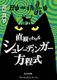直観でわかるシュレーディンガー方程式