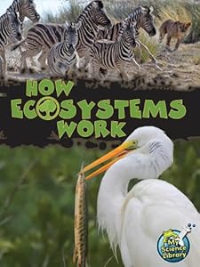 How Ecosystems Work (My Science Library)
