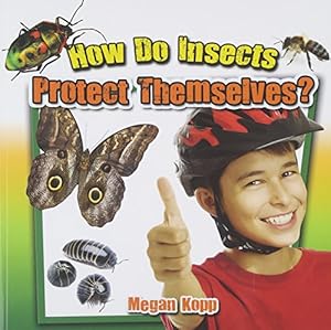 How Do Insects Protect Themselves?