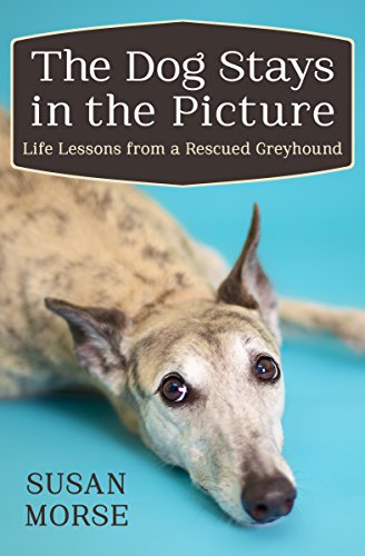 The Dog Stays in the Picture: Life Lessons from a Rescued Greyhound by Susan Morse