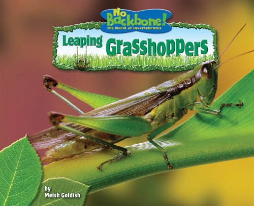 Leaping Grasshoppers (No Backbone! the World of Invertebrates) by Meish Goldish