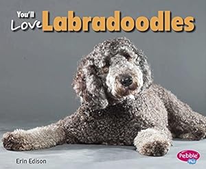 You'll Love Labradoodles