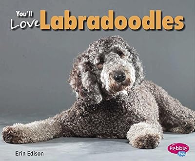 You'll Love Labradoodles