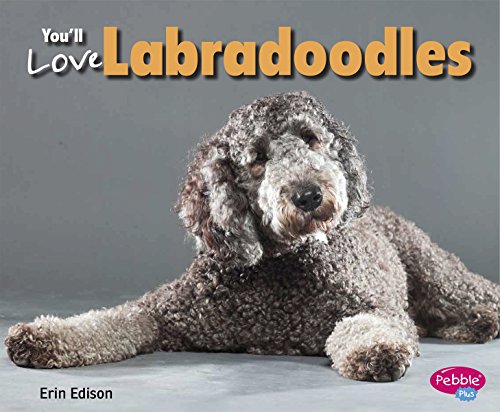 You'll Love Labradoodles by Erin Edison 
			
			
		
		
		
       	 
       		
       			,