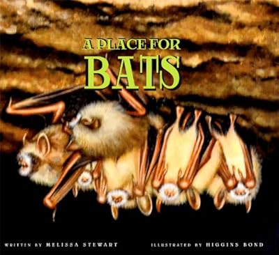 A Place for Bats