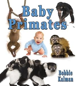 Baby Primates by Bobbie Kalman