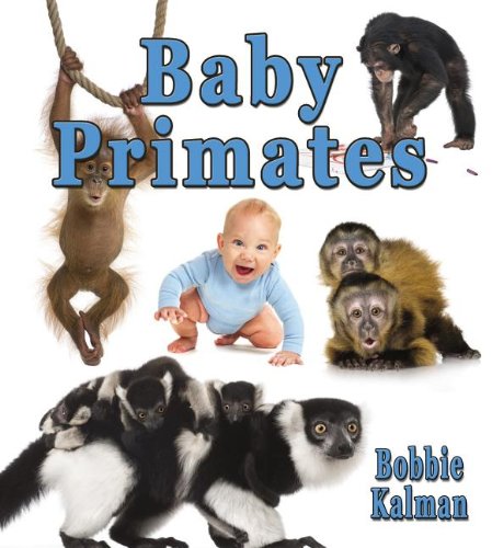 Baby Primates by Bobbie Kalman