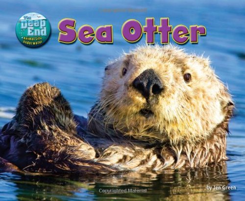 Sea Otter by Jen Green