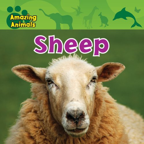 Sheep by Christina Wilsdon