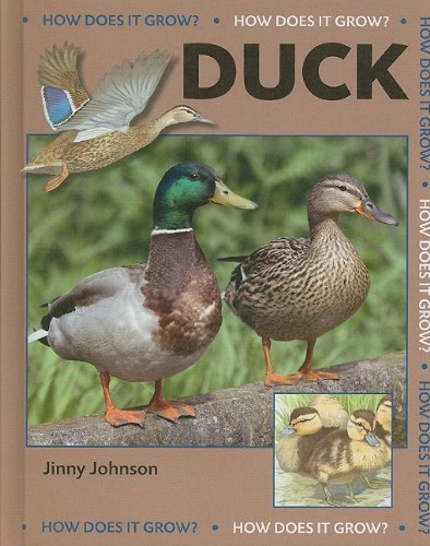 Duck by Jinny Johnson