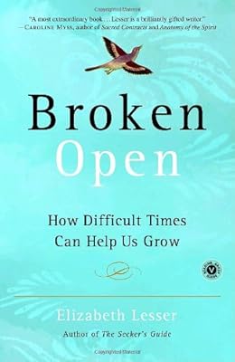Broken Harbor: A Novel (Dublin Murder Squad)