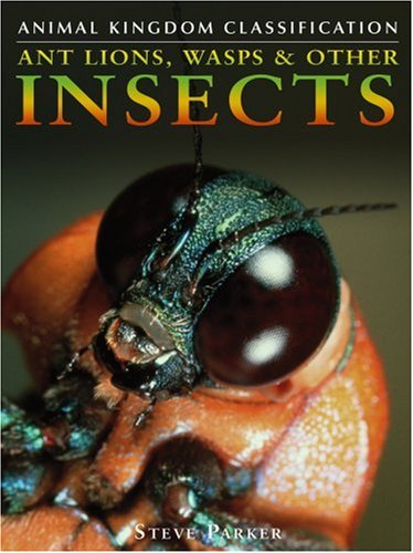 Ant Lions, Wasps & Other Insects (Animal Kingdom Classification) by Steve Parker