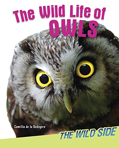 The Wild Life of Owls by Camilla de la Bedoyere