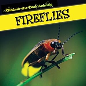 Fireflies by Sara Howell