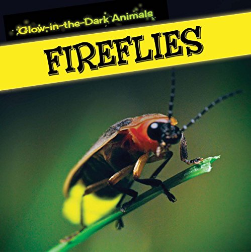 Fireflies by Sara Howell