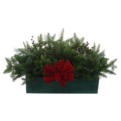 Algopix Similar Product 11 - Worcester Wreath Winter Window Box