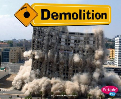 Demolition by JoAnn Early Macken
